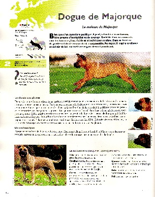 de Can Bourbon - Encyclopedie du chien