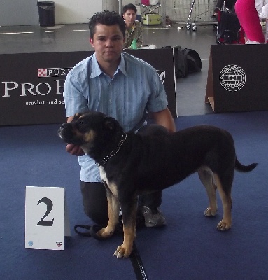 de Can Bourbon - WORLD DOG SHOW 2012 Autriche